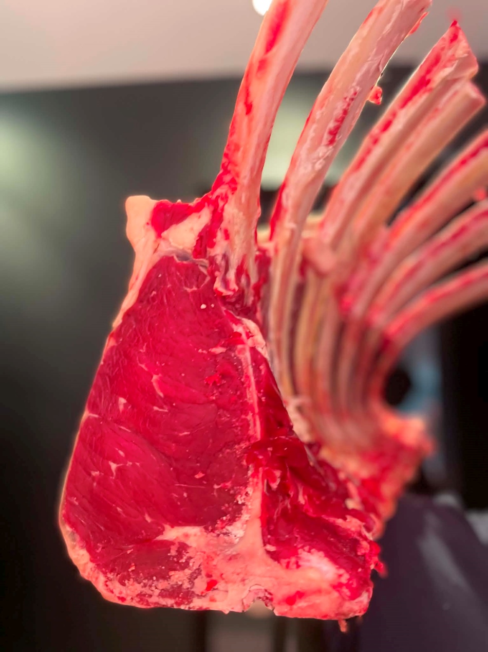 Tomahawk 'wit-blauw'